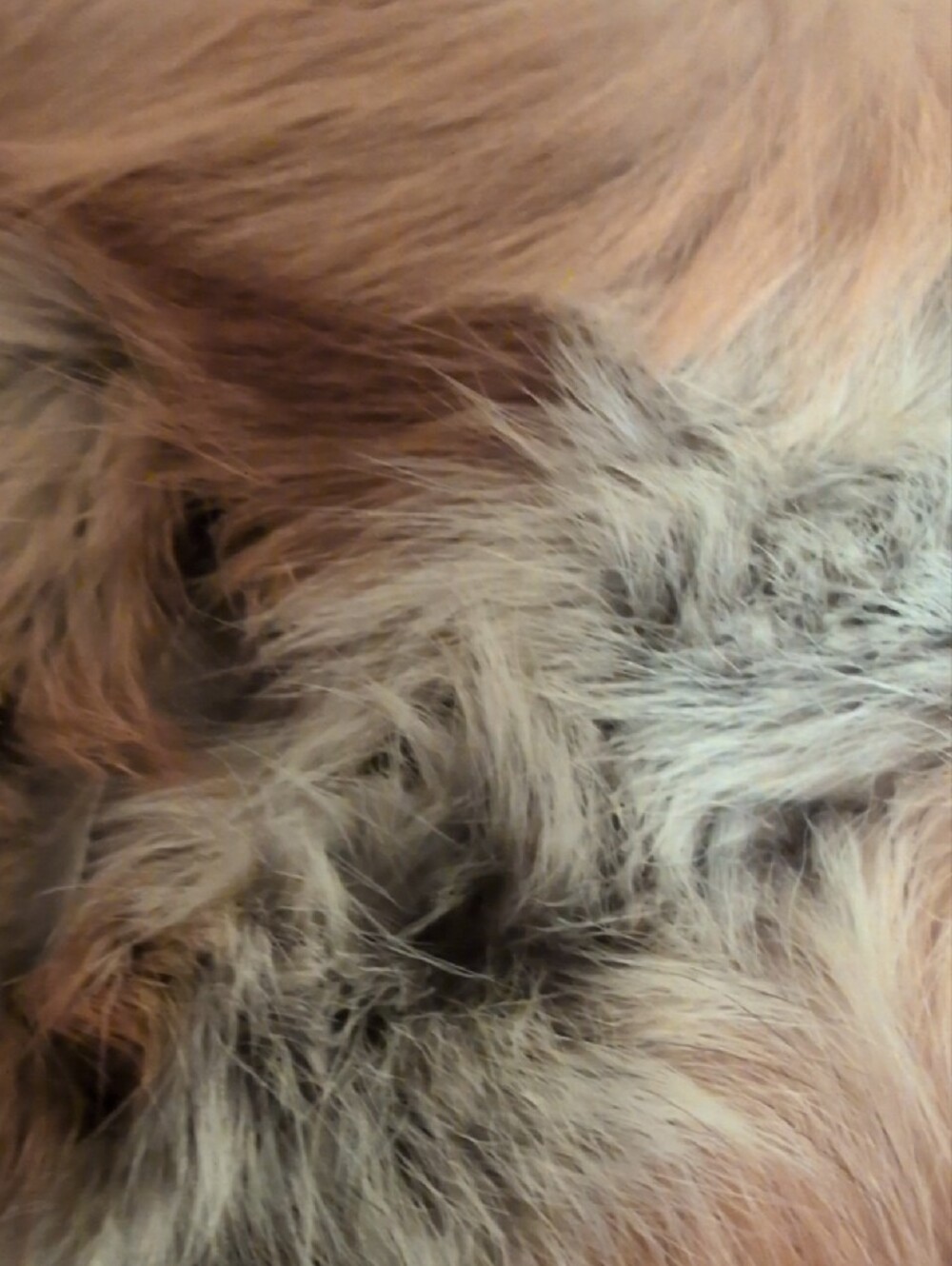 Vintage Red Fox Real Fur Jacket in Warm Brown Tones With Suede Insets - Picture 11 of 12